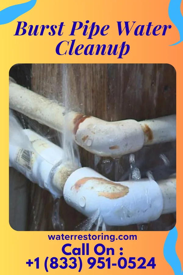Burst Pipe Water Cleanup in Dunbar, NE
