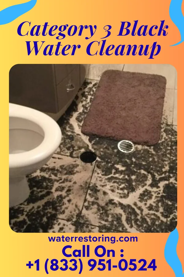 Category 3 Black Water Cleanup in Dunbar, NE
